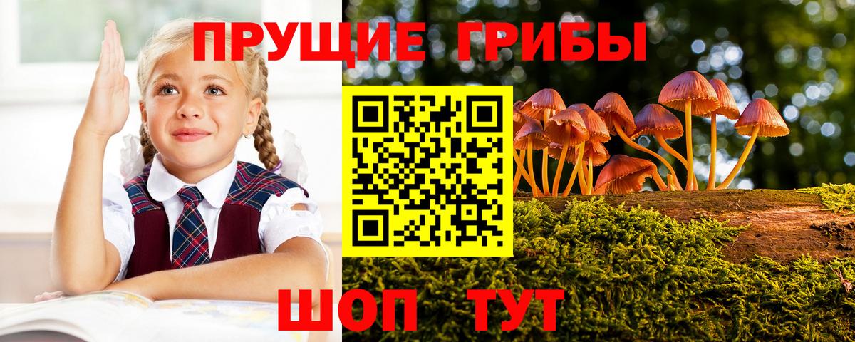 магазин продажи наркотиков  Псилоцибиновые грибы Magic Shrooms  Вход с VPN  Галлюциногенные грибы GOLDEN TEACHER  Кемерово 