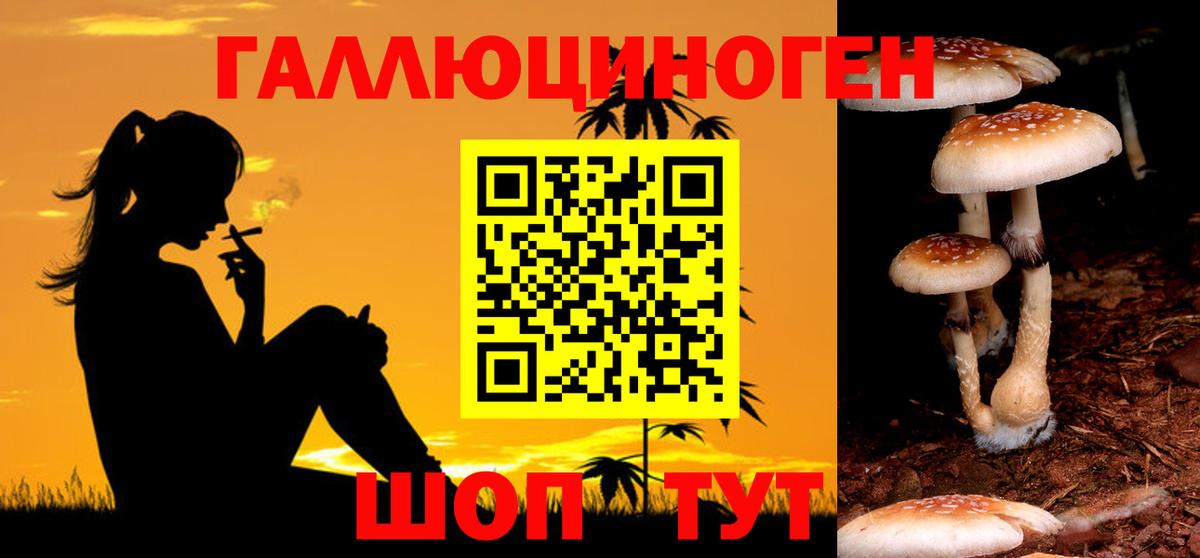 Галлюциногенные грибы прущие грибы Кемерово